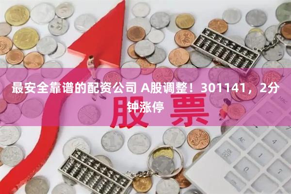 最安全靠谱的配资公司 A股调整！301141，2分钟涨停
