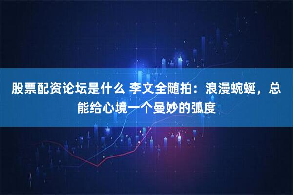 股票配资论坛是什么 李文全随拍：浪漫蜿蜒，总能给心境一个曼妙的弧度