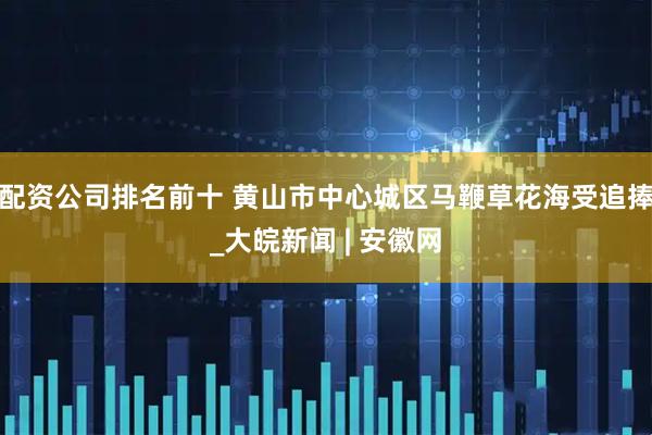配资公司排名前十 黄山市中心城区马鞭草花海受追捧_大皖新闻 | 安徽网