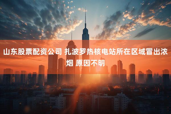山东股票配资公司 扎波罗热核电站所在区域冒出浓烟 原因不明